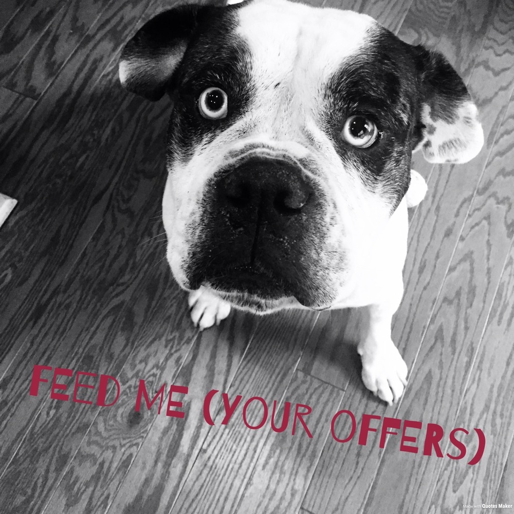 I love ❤️ offers
