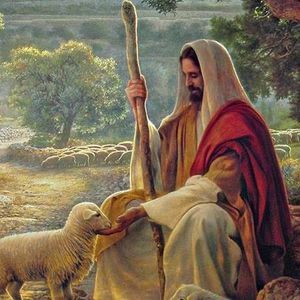 Meet your Posher, Troy