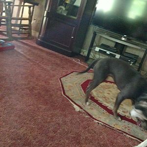 Meet your Posher, Betty