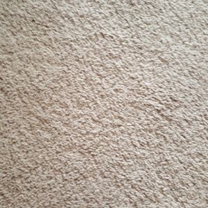 Meet your Posher, Rajeana