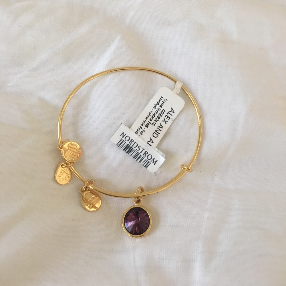 Alex and Ani Amethyst birthstone bracelet