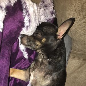 Meet your Posher, Sara