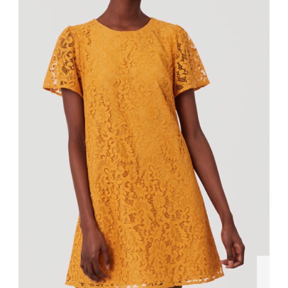 Lace swing dress