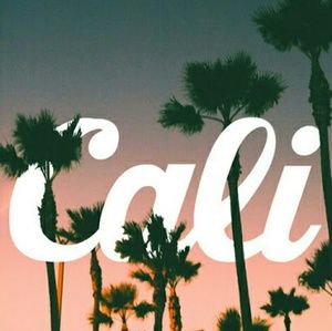 Meet your Posher, Itzel