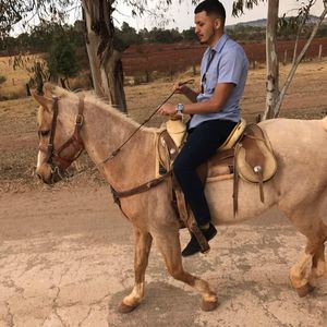 Meet your Posher, Luis