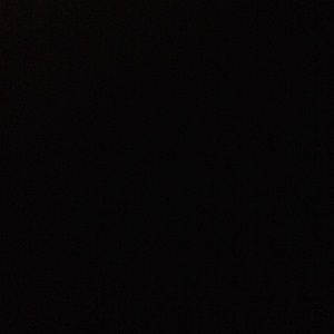 Meet your Posher, Kyra