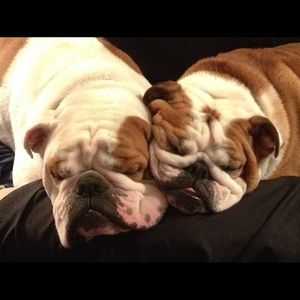 Meet your Posher, Patty