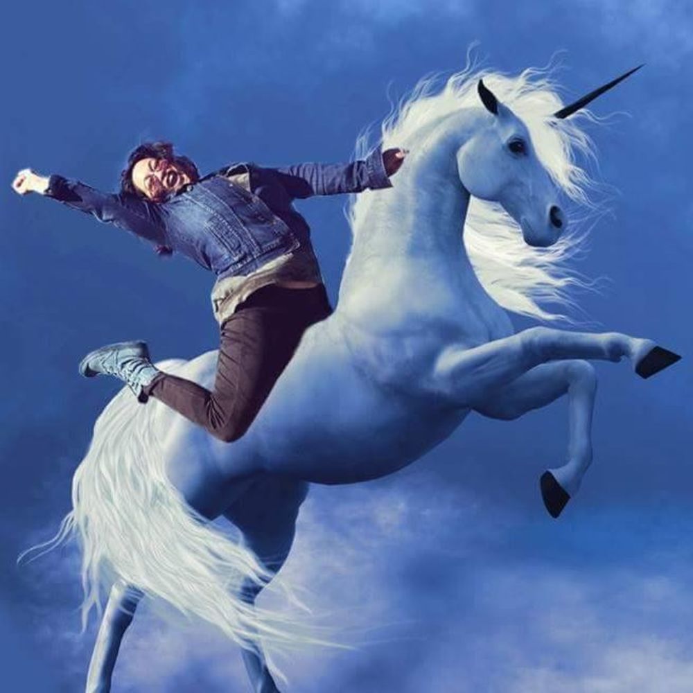 Meet your Posher, Carmen