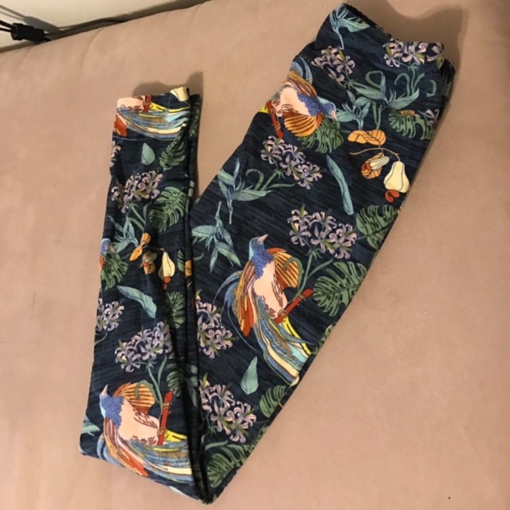 LuLaRoe OS Leggings in beautiful bird print