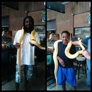 Meet your Posher, Cee jay