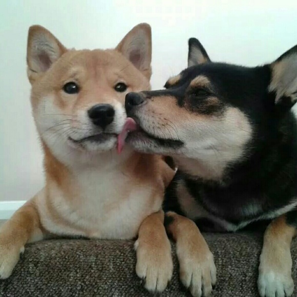 Offer Welcome ♡ - Picture 3 of 4