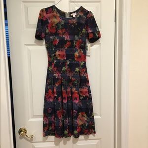 Lularoe Amelia size small