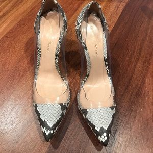 gianvito rossi python pumps