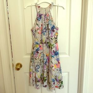 Express shift dress