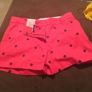 New, never worn cute shorts
