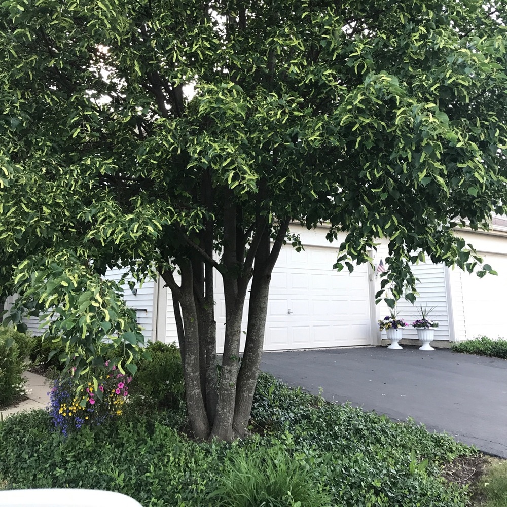 Meet your Posher, Anne