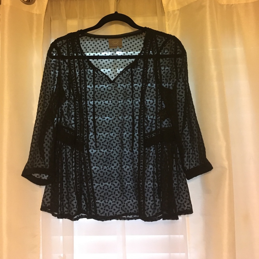 Anthropologie sheer black blouse
