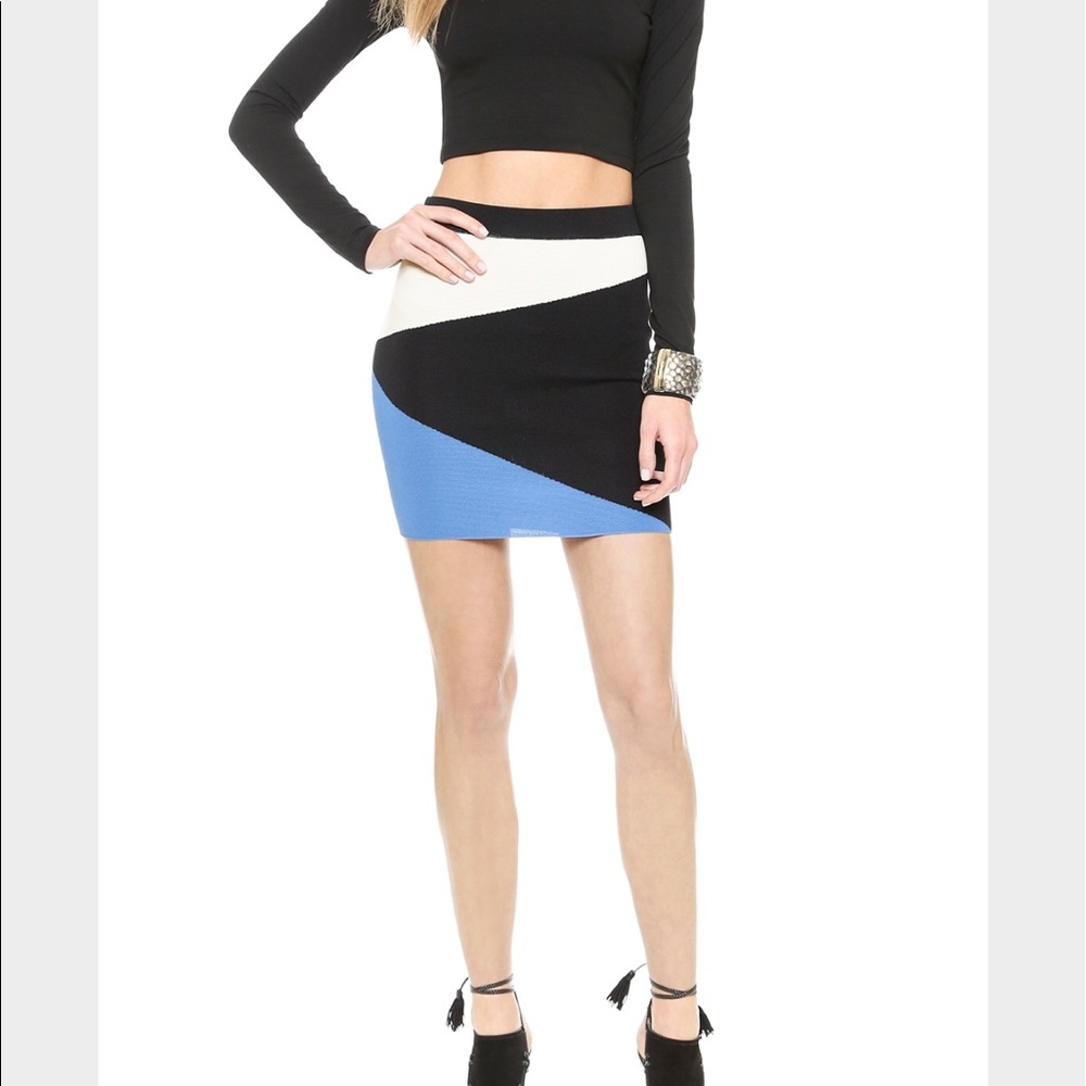 TORN by Ronny Kobo Colorblock skirt size small