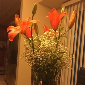 Meet your Posher, Alisa