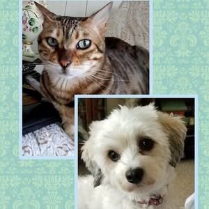 Meet your Posher, Amy