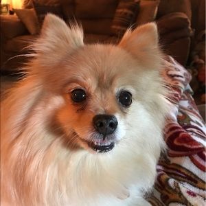 Meet your Posher, Shari