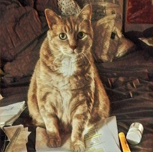 Meet your Posher, Jackie