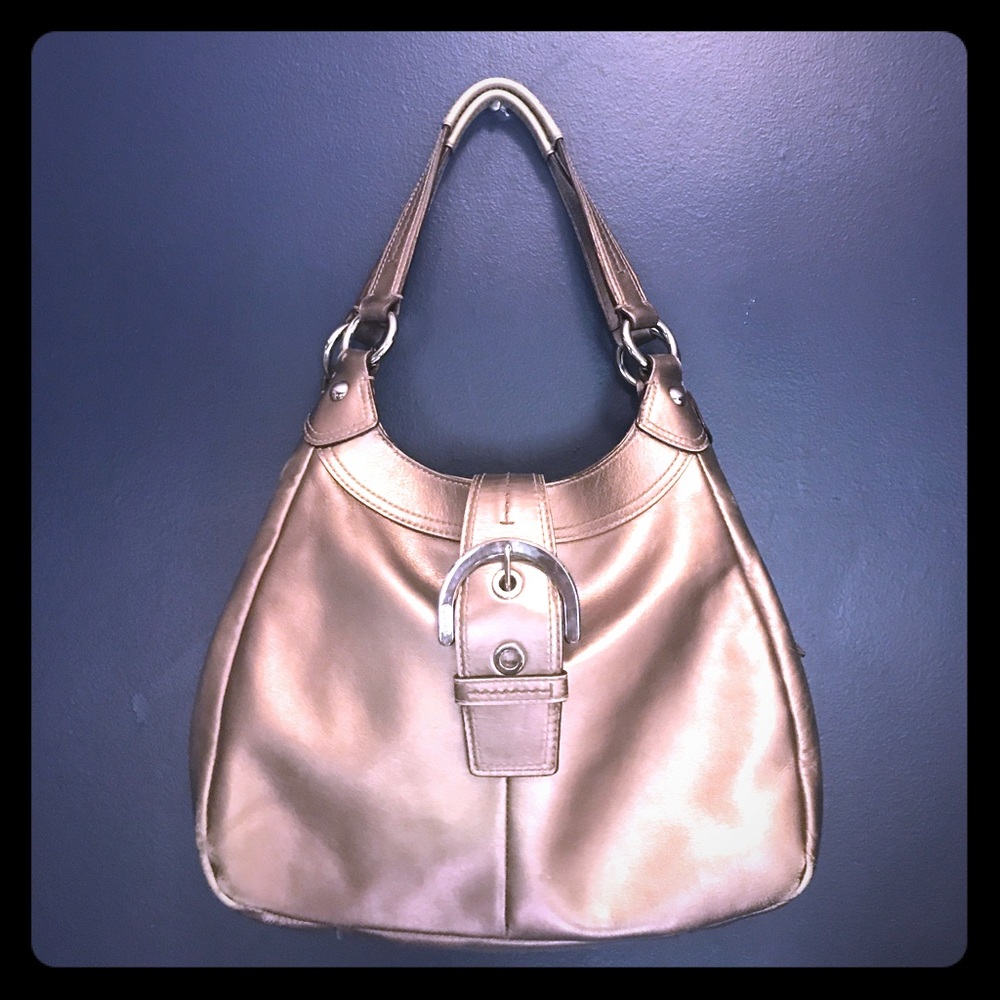 Coach Metallic Purse