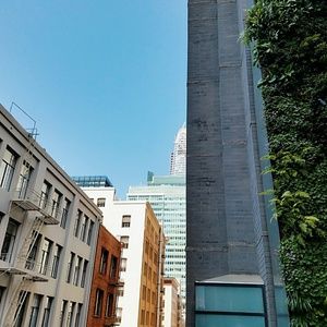 Meet your Posher, Jane