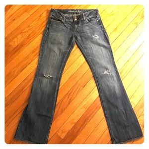 American Eagle - Artist