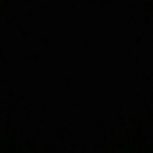 Meet your Posher, Rose