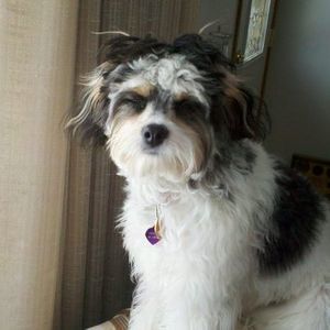 Meet your Posher, Mary kay