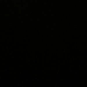 Meet your Posher, Gary