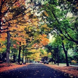 Meet your Posher, Peter