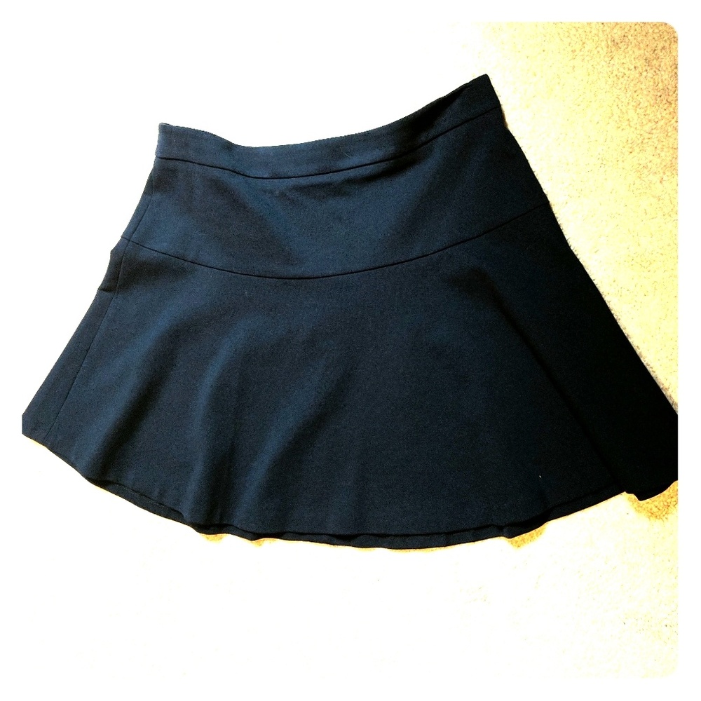 NWT Banana Republic Skirt 10