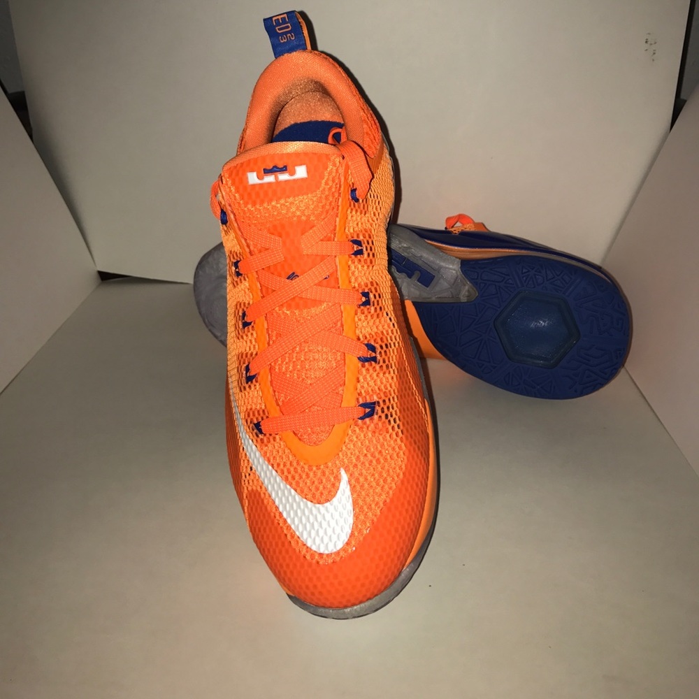 Lebron XII low