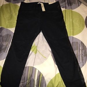 Authentic Brand NewAnn Taylor Loft Black Trousers