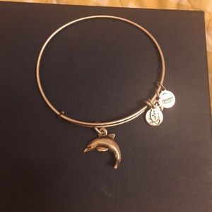 Dolphin silver alex and ani