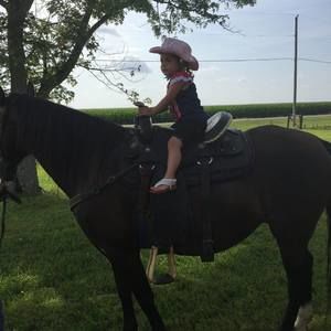 Meet your Posher, Vanessa