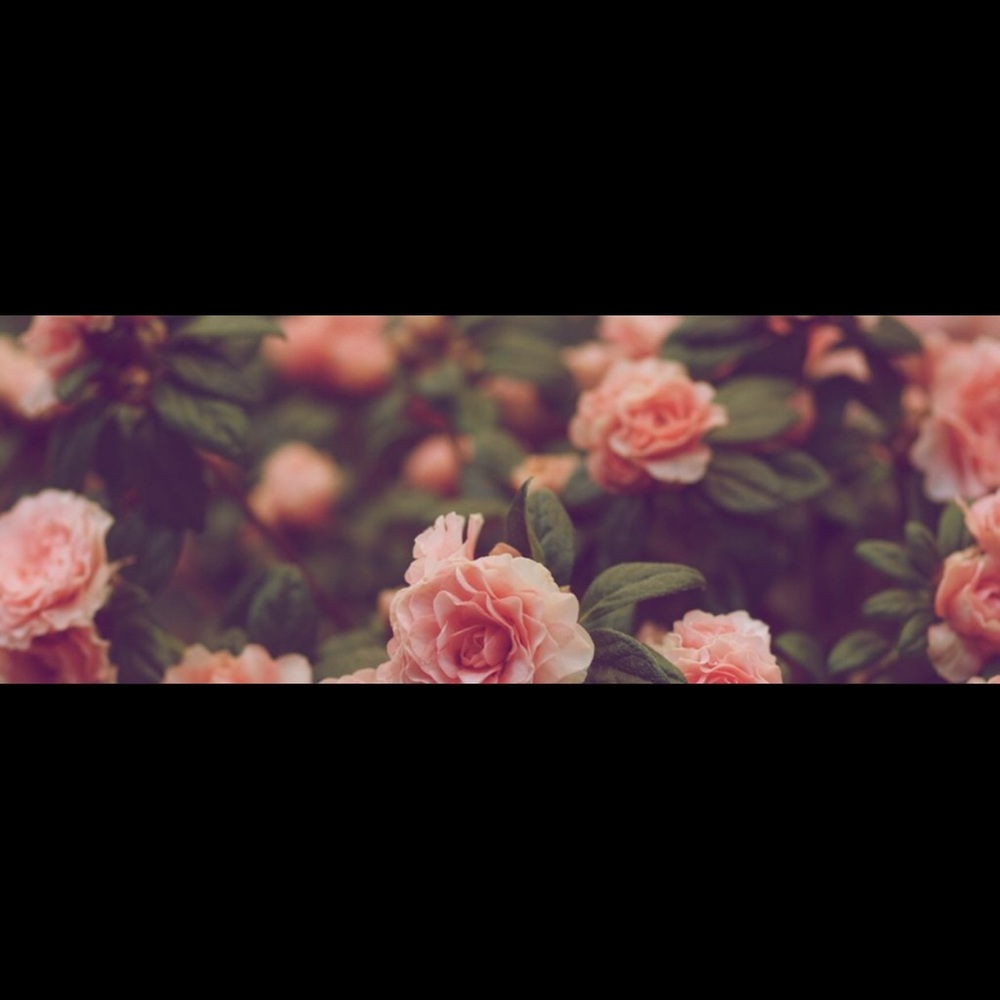 Meet your Posher, Jacqueline