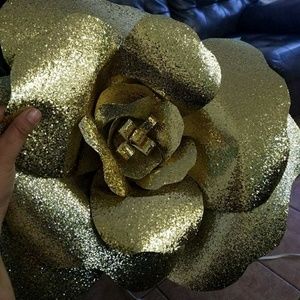 Meet your Posher, Gabriela