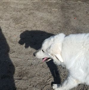 Meet your Posher, Ethan