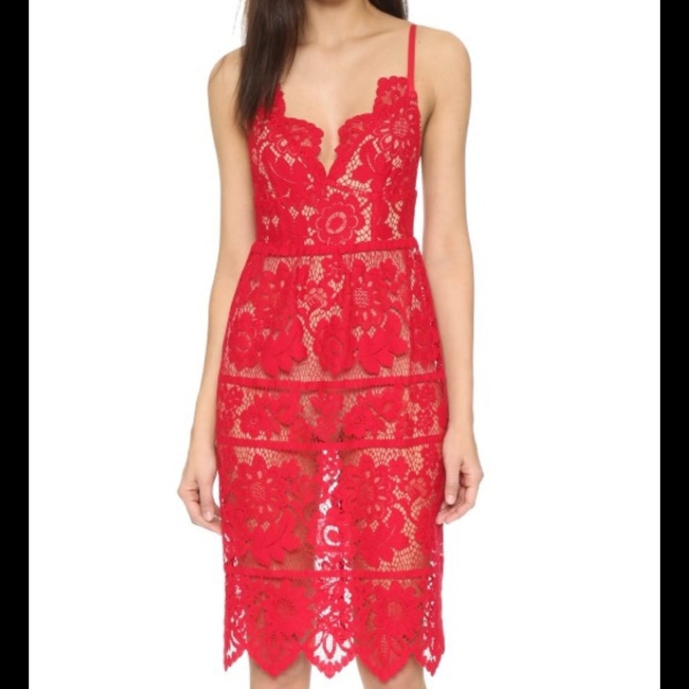 For Love and Lemons Gianna lace dress