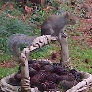 Meet your Posher, Mauri