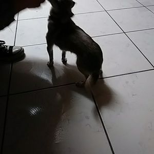 Meet your Posher, Rosa