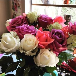 Meet your Posher, Lilia