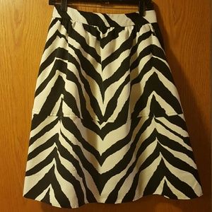 Express Dressy Skirt