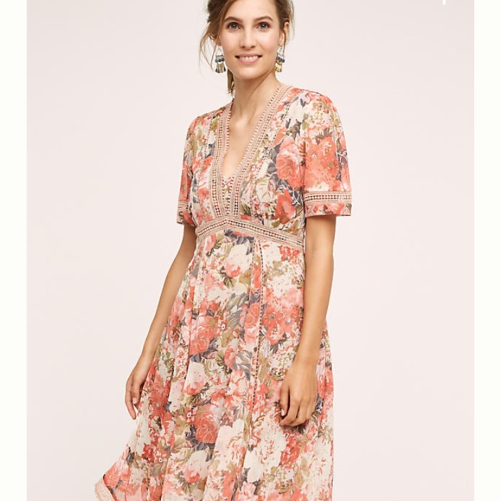 Anthropologie Rose Bouquet Dress size 2