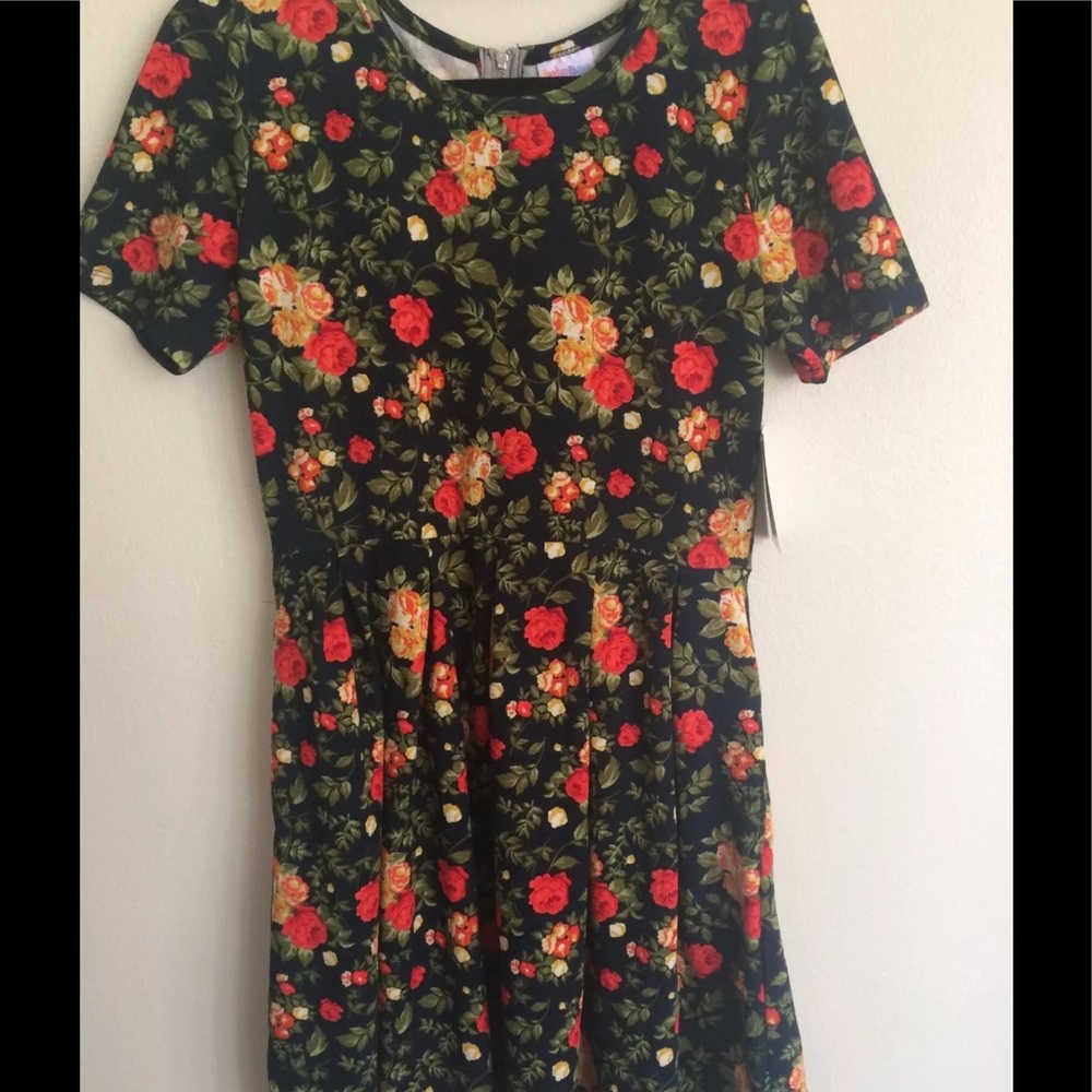 Lularoe 2xl Amelia dress