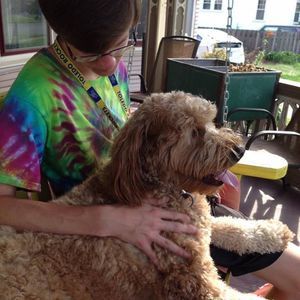 Meet your Posher, Alex