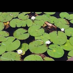 Meet your Posher, Meredith